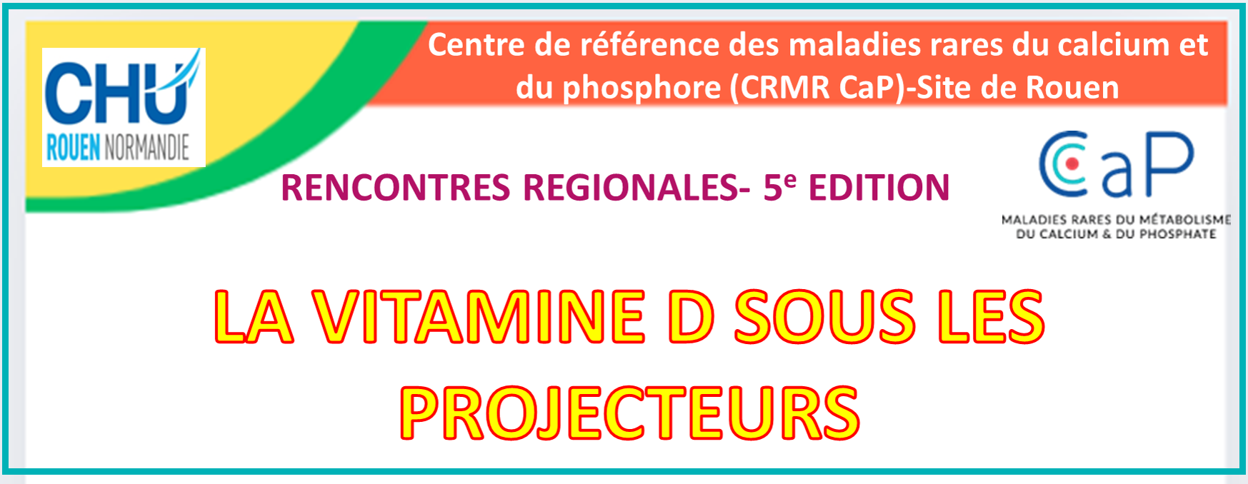 La vitamine D sous les projecteurs